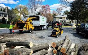 Best Tree Maintenance Programs  in Fellsburg, PA